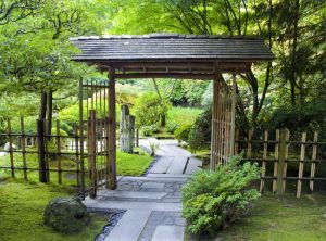 Lire la suite à propos de l’article Jardin japonais de Monaco